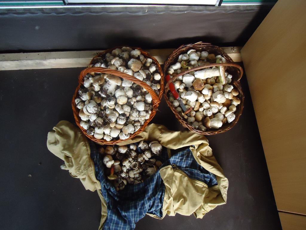 Penzion Daja Horni Plana Luaran gambar